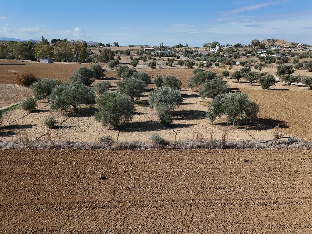 Residential Field for Sale – Pera (Oreinis), Nicosia image 3