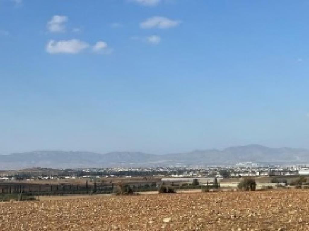Livestock Field in Psimolofou, Nicosia District