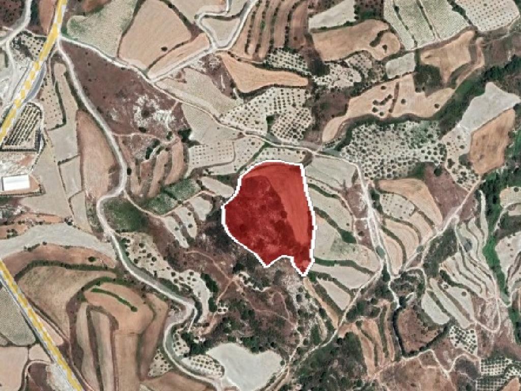Agricultural Field for Sale in Theletra, Paphos image 5