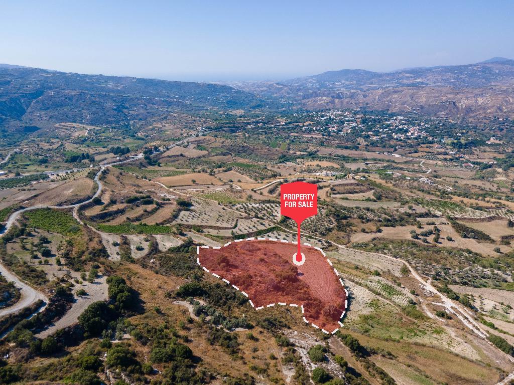 Agricultural Field for Sale in Theletra, Paphos