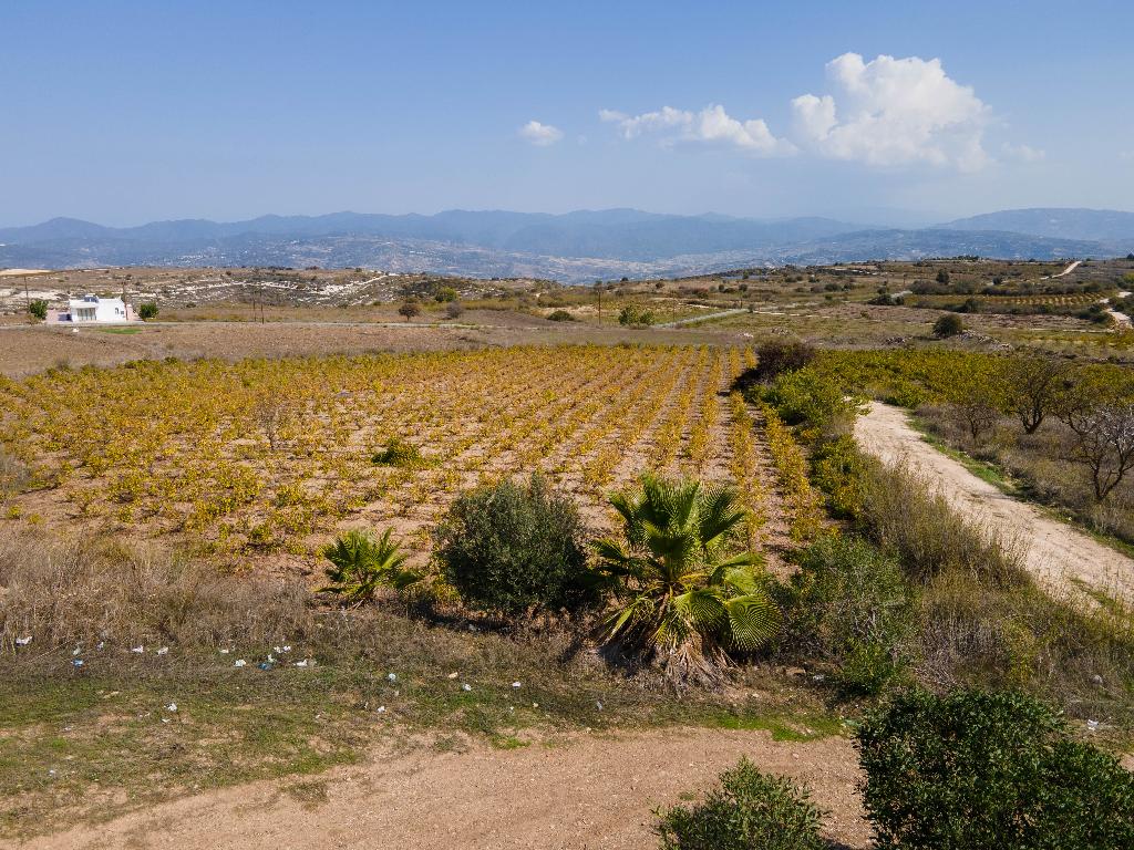 🏡 Residential Field in Pano Arodes, Paphos image 3