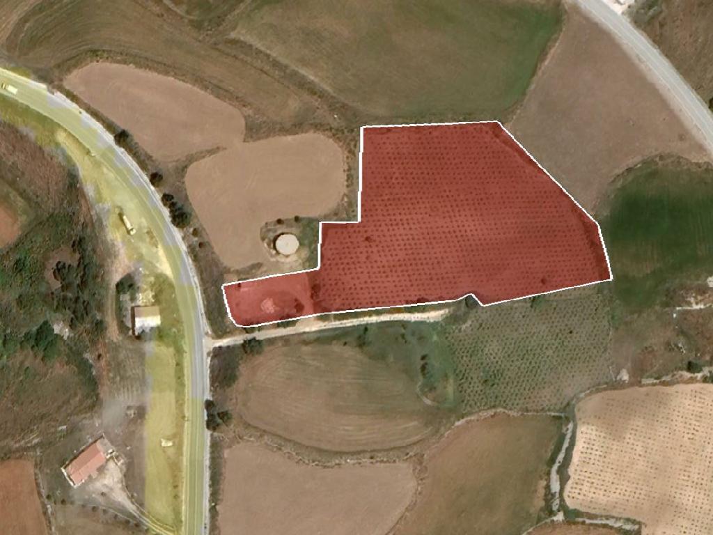 🏡 Residential Field in Pano Arodes, Paphos image 5