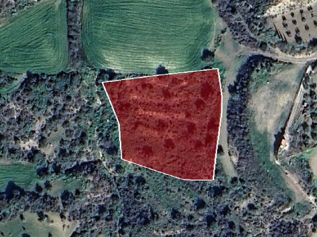 Livestock Field for Sale in Pano Lefkara, Larnaca District image 4