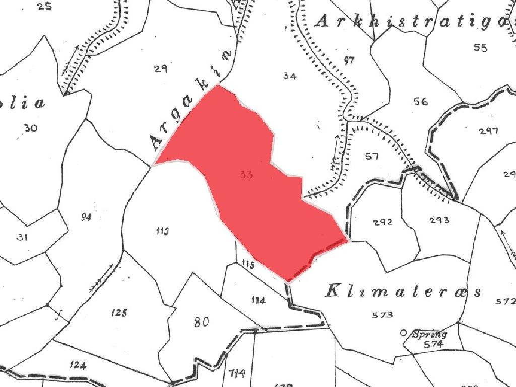 Agricultural Land for Sale in Theletra, Paphos District
