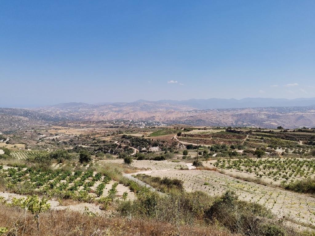 Agricultural Land for Sale in Theletra, Paphos District image 3