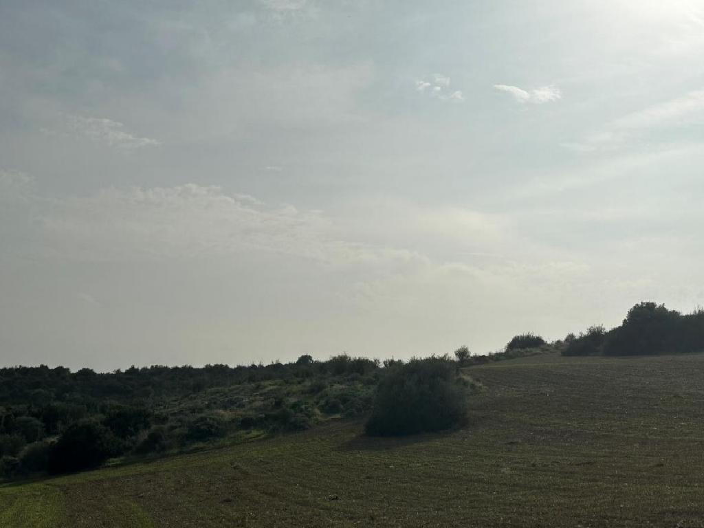 🌿 Field for Sale – Choirokitia, Larnaca 🌿 image 7