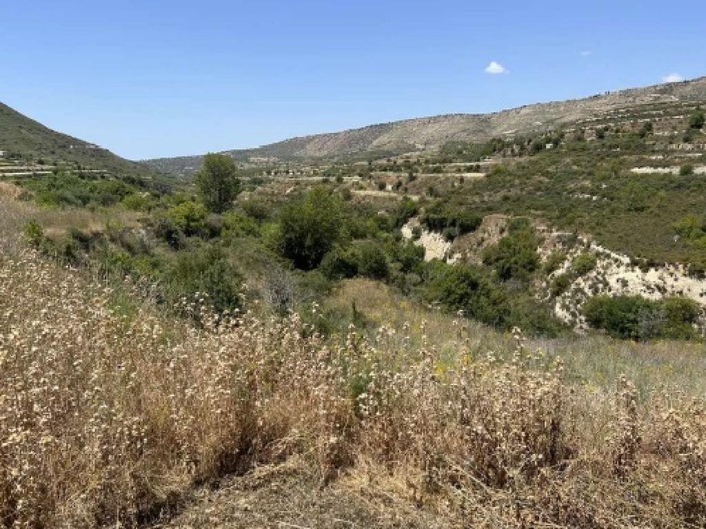 Land for Sale in Agios Amvrosios, Limassol District image 2