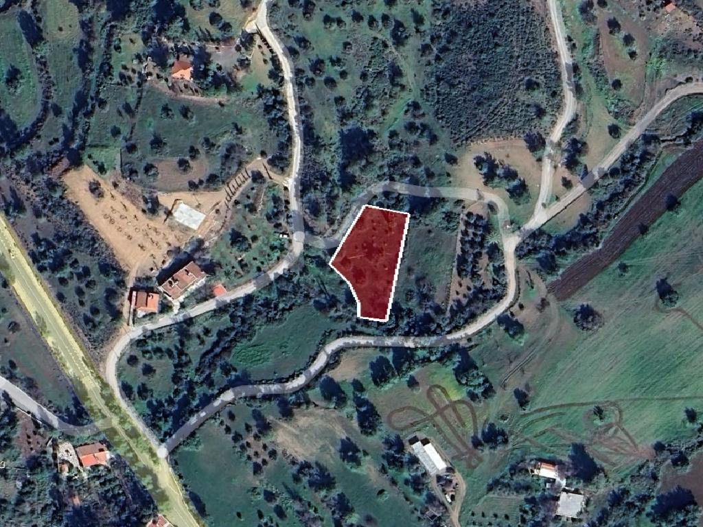 Residential Field – Lageia, Larnaca District image 3