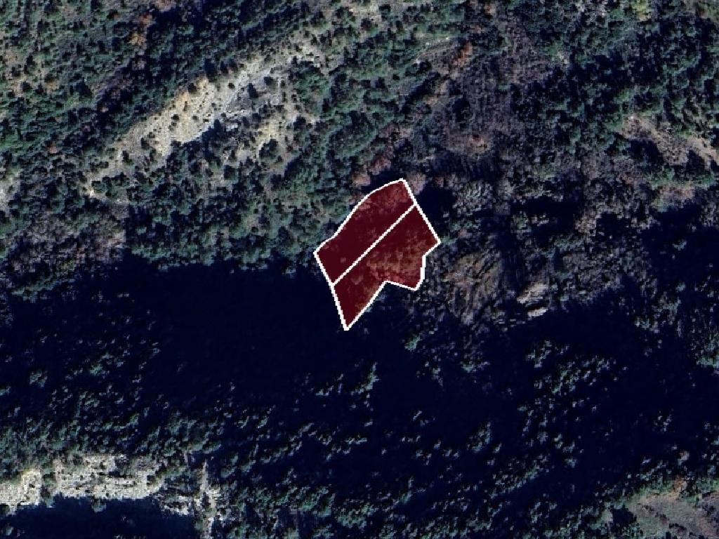 Two Agricultural Fields for Sale in Prodromos, Limassol District