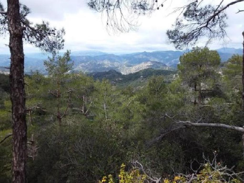 Two Agricultural Fields for Sale in Prodromos, Limassol District image 2