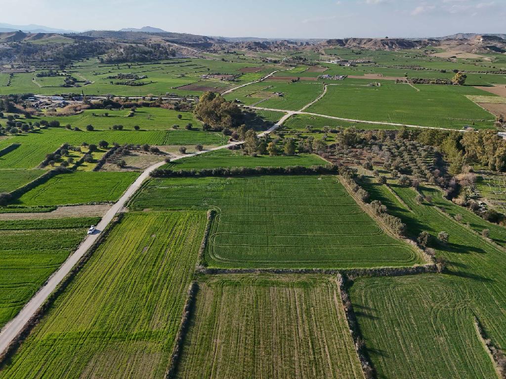 🏡 Residential Field for Sale – Politiko, Nicosia 🌿 image 4