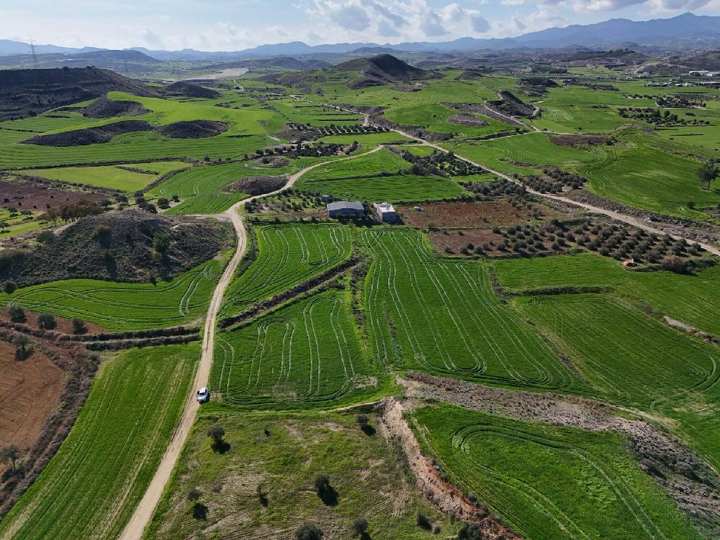 Two Agricultural Fields in Tseri, Nicosia image 4