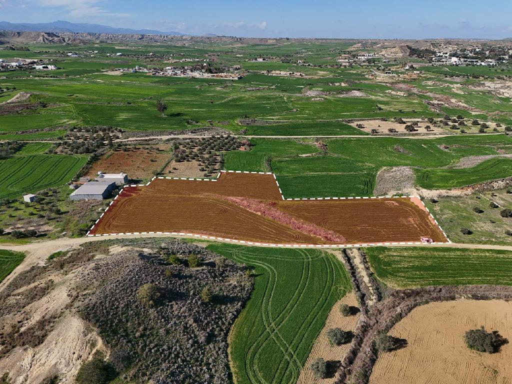 Two Agricultural Fields in Tseri, Nicosia image 5