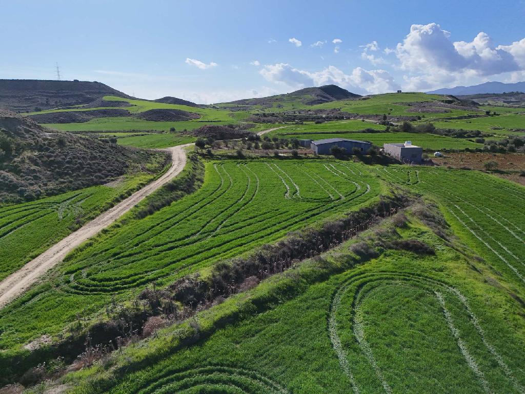 Two Agricultural Fields in Tseri, Nicosia image 2