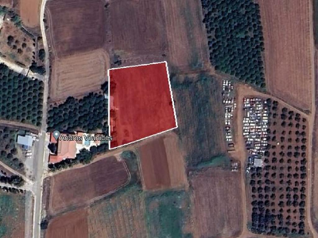 Residential Field – Peristerona, Nicosia District image 2