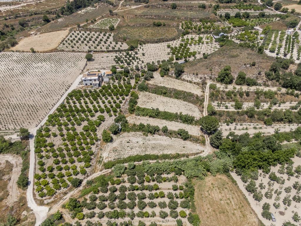 Γεωργικό Χωράφι στο Στρουμπί, Πάφος image 3