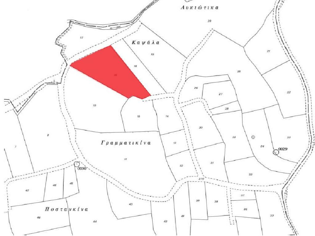 Agricultural Land for Sale in Filousa (Kelokedaron), Paphos District image 3