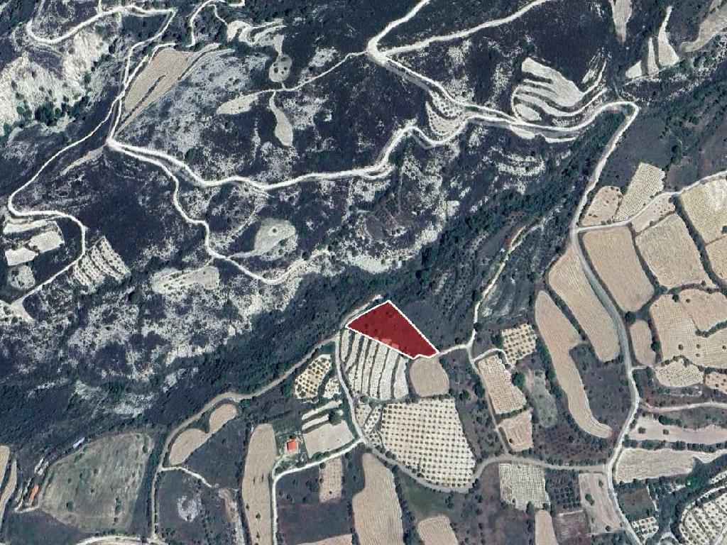 Agricultural Land for Sale in Filousa (Kelokedaron), Paphos District