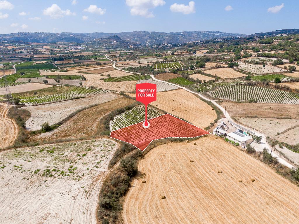 Γεωργικό Χωράφι στο Στρουμπί, Πάφος