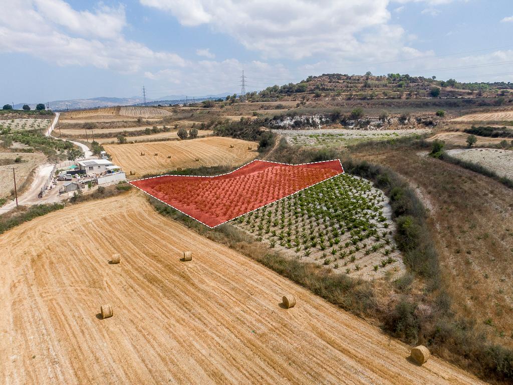 Γεωργικό Χωράφι στο Στρουμπί, Πάφος image 4