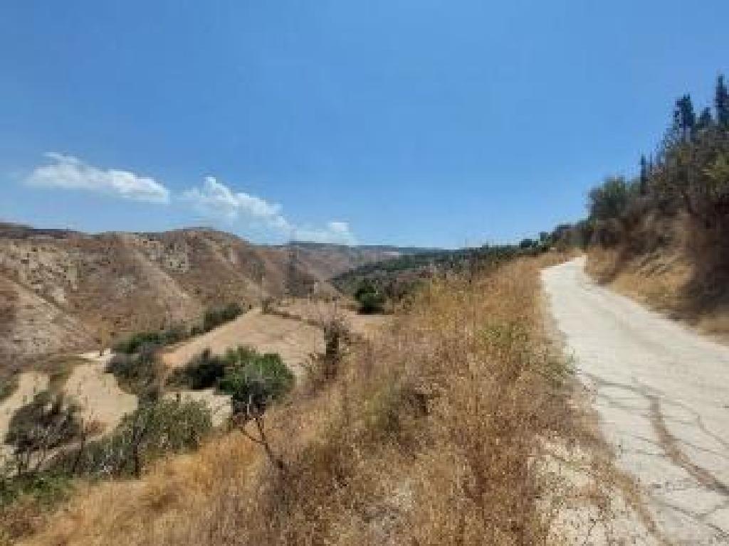 Field for Sale in Drymou, Paphos