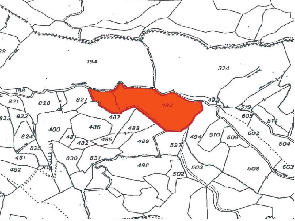 Field for Sale in Drymou, Paphos image 3