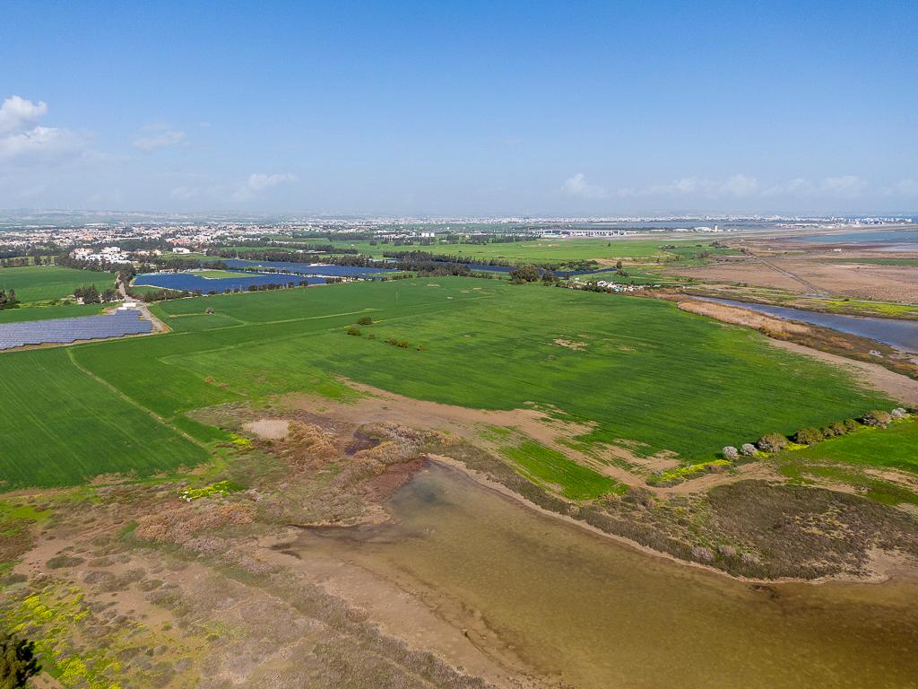 Tourist Field for Sale in Meneou, Larnaca image 4