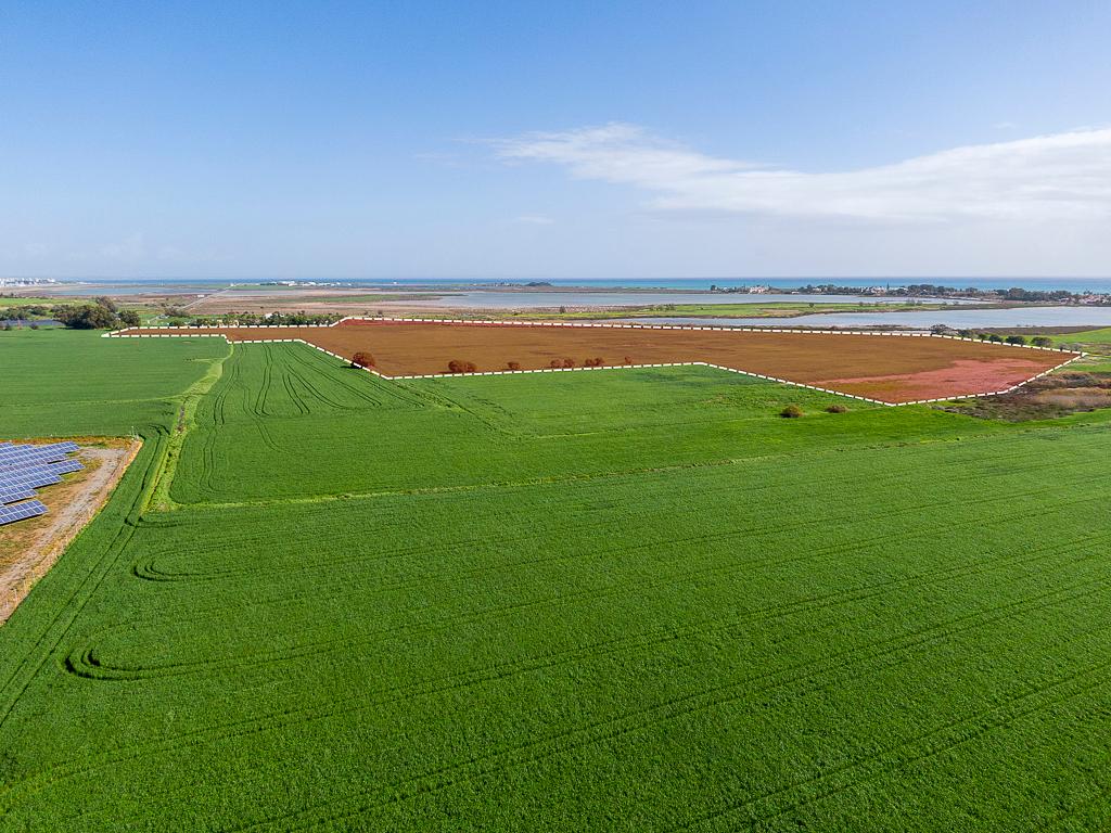 Tourist Field for Sale in Meneou, Larnaca image 2