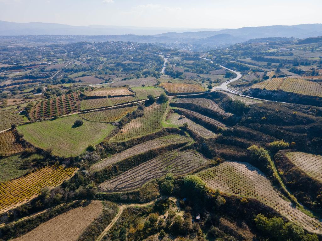Two Abutting Agricultural Fields in Stroumpi, Paphos image 2