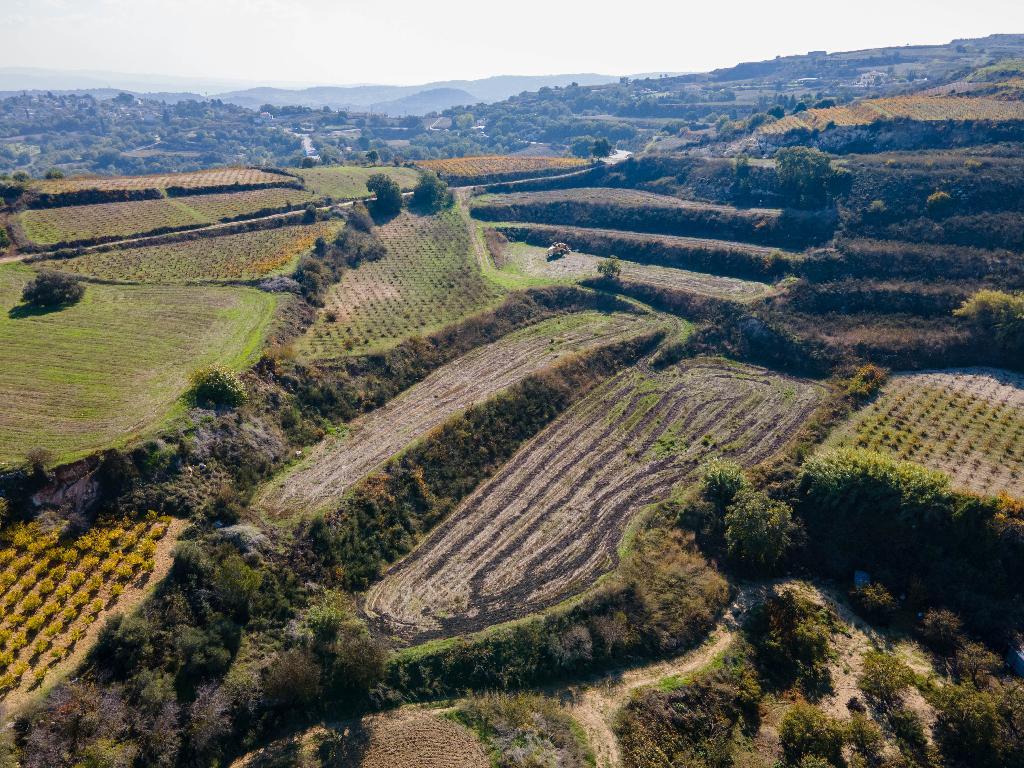 Two Abutting Agricultural Fields in Stroumpi, Paphos image 3