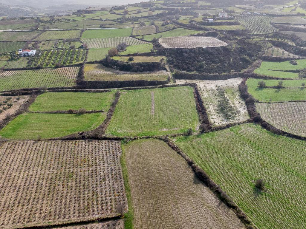 Agricultural Field for Sale in Polemi, Paphos image 4