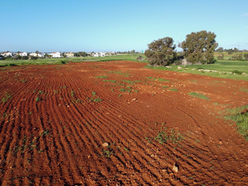 Touristic Fields for Sale in Sotira, Famagusta image 4