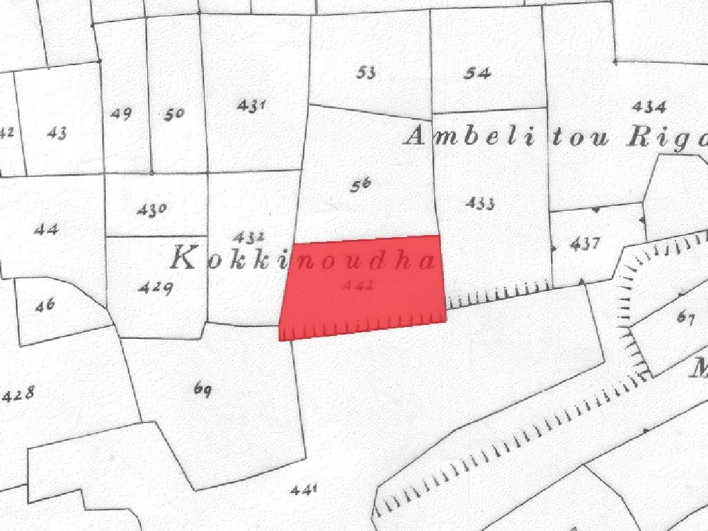 Residential Field - Geri, Nicosia image 3