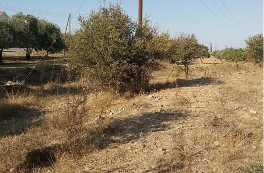 Residential Field - pera, Nicosia