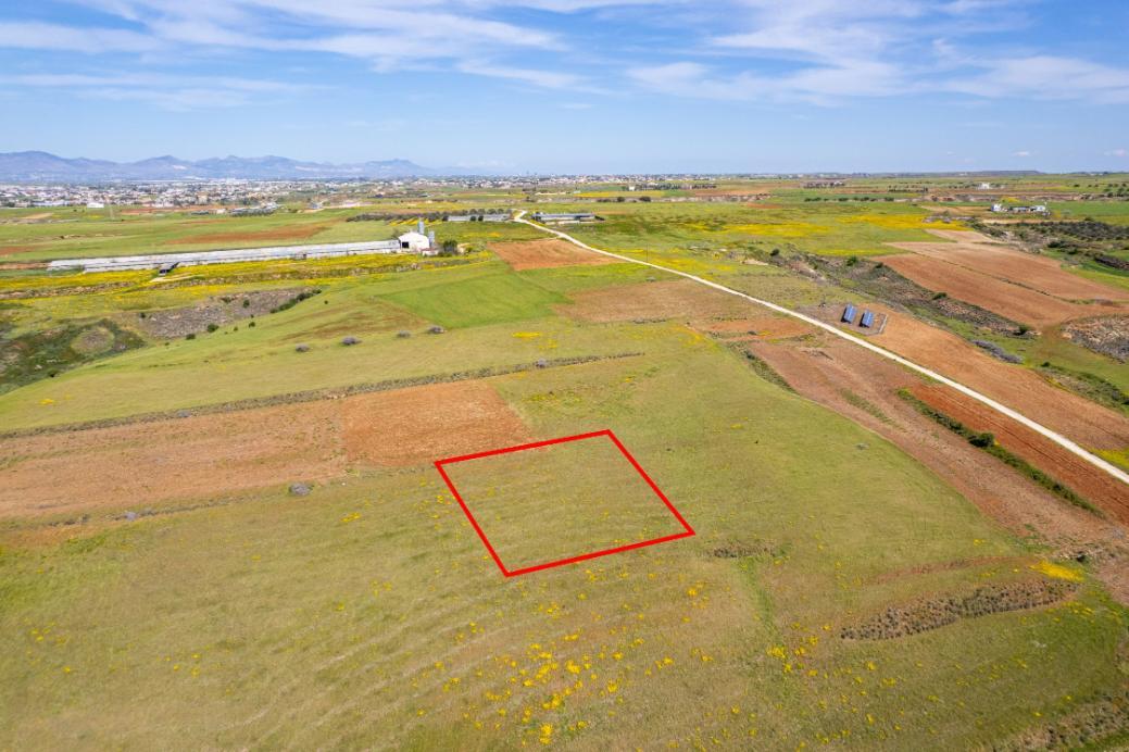 Agricultural Field for Sale – Palaiometocho image 2