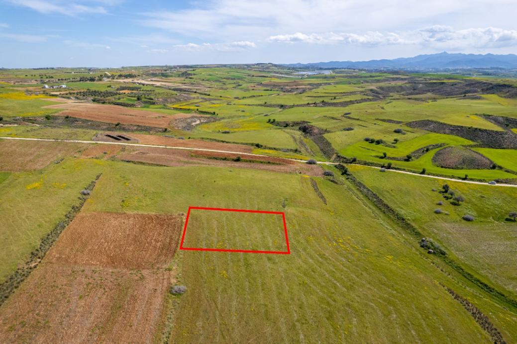 Agricultural Field for Sale – Palaiometocho image 3