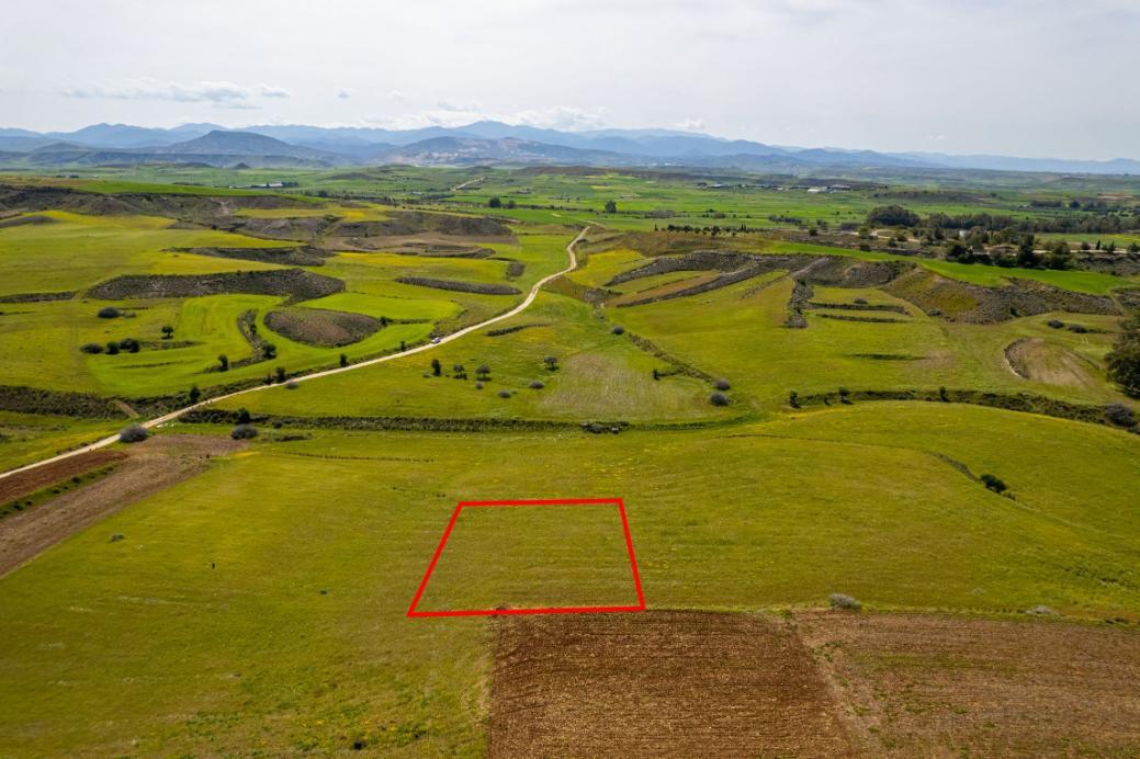 Agricultural Field for Sale – Palaiometocho image 5