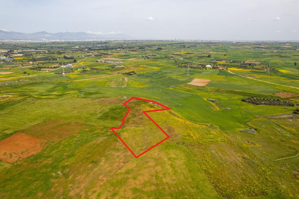 Agricultural Field for Sale — Prime Rural Opportunity image 2