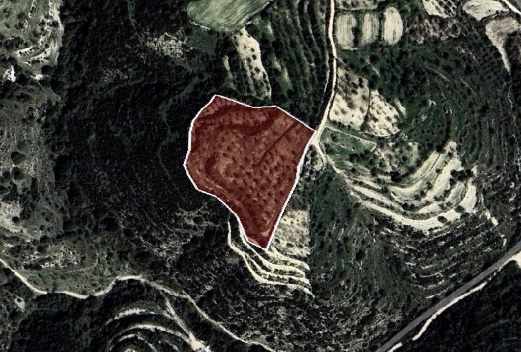 Field - Kallepia, Paphos