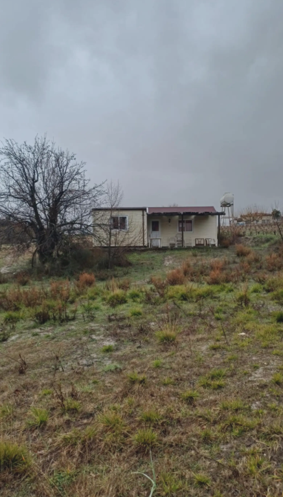 Field with House in Omodos