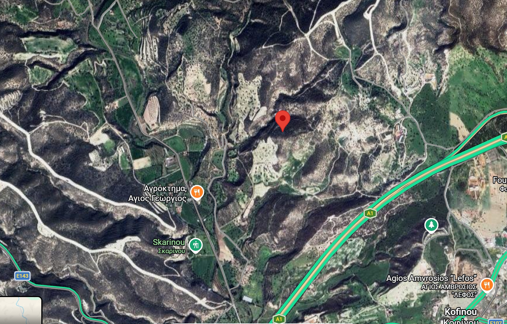 🌾 Large Agricultural Field for Sale - Skarinou, Larnaca🌿 image 4