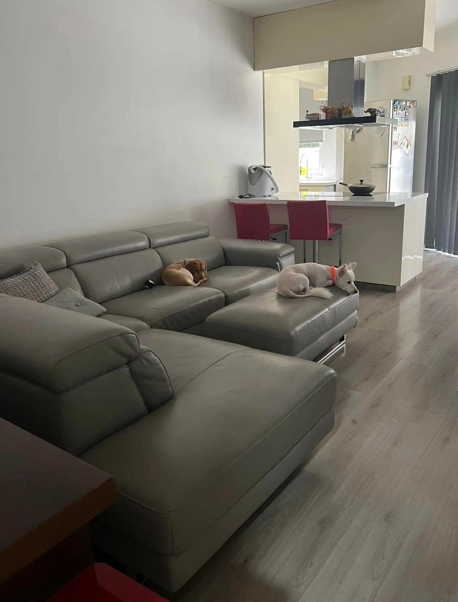 Two Bedroom Ground Floor Apartment for sale Nicosia,Dasoupoli image 3