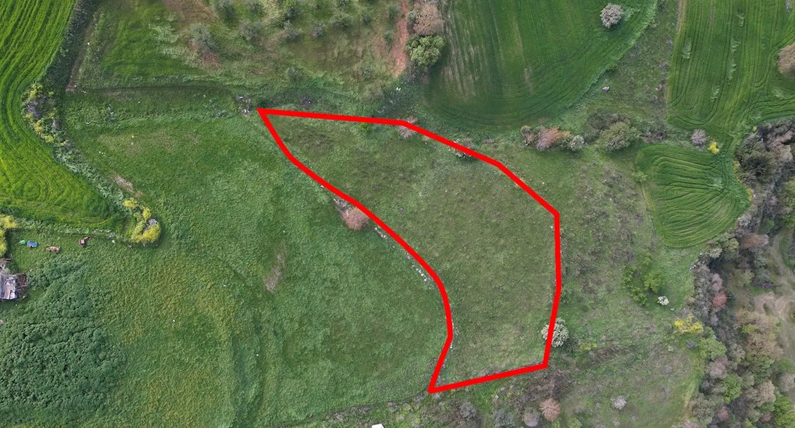 Residential Plot in Paphos image 2