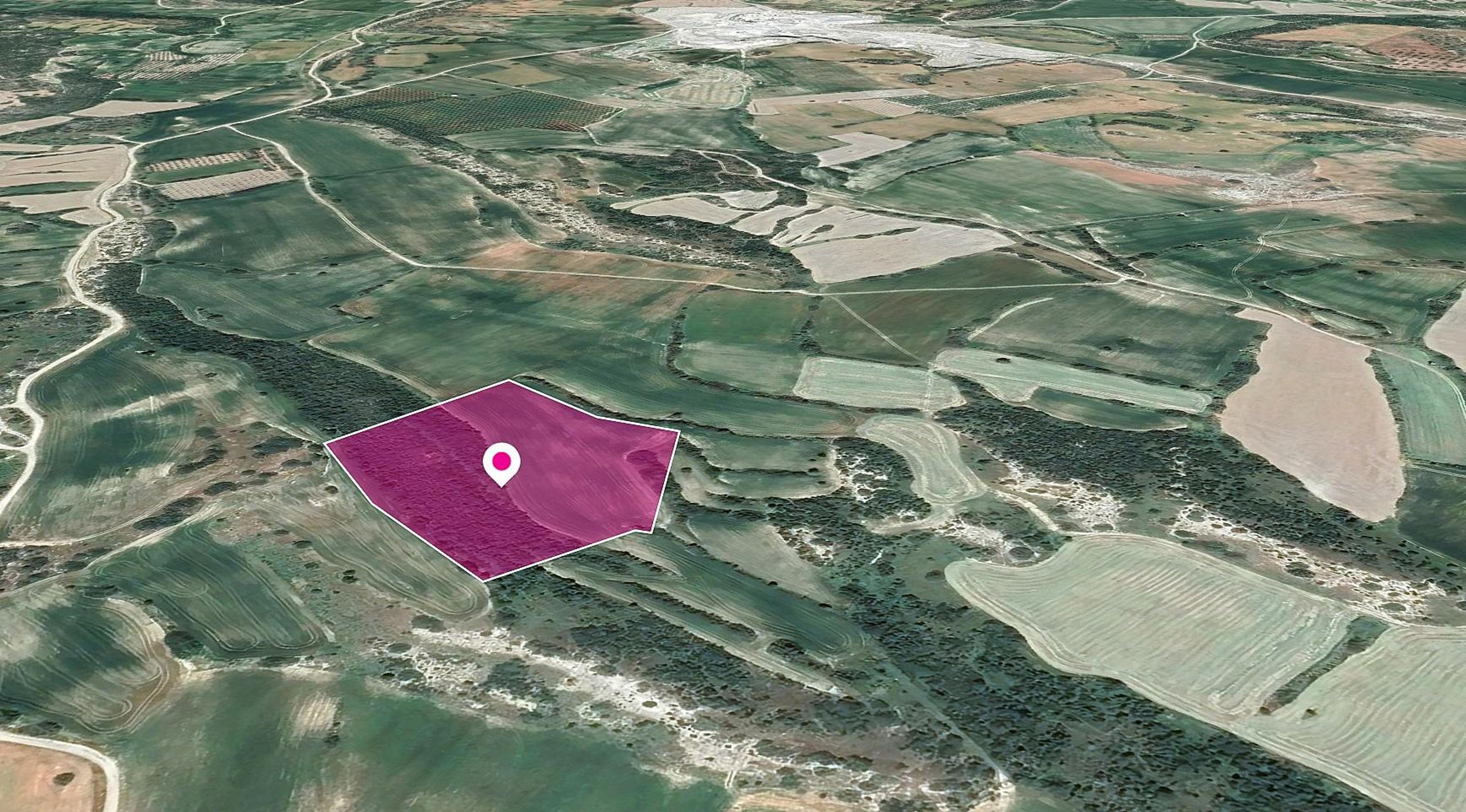 Agricultural Field in Agios Theodoros, Larnaca image 3