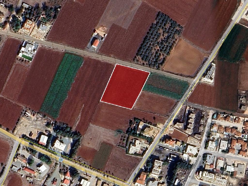 Residential Field - Xylofagou, Larnaca image 4