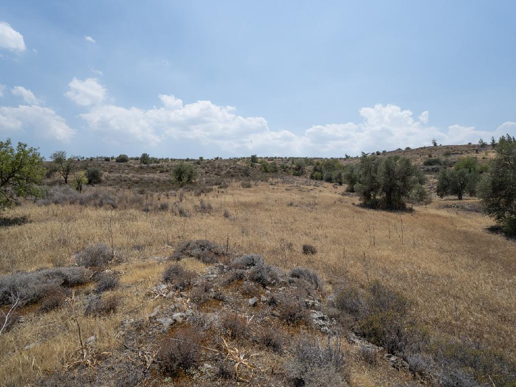 Residential Field - Agrokipia, Nicosia image 3