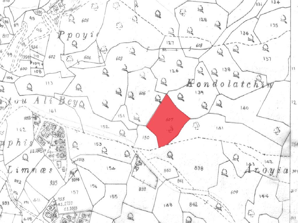 Residential field - Pissouri, Limassol image 6