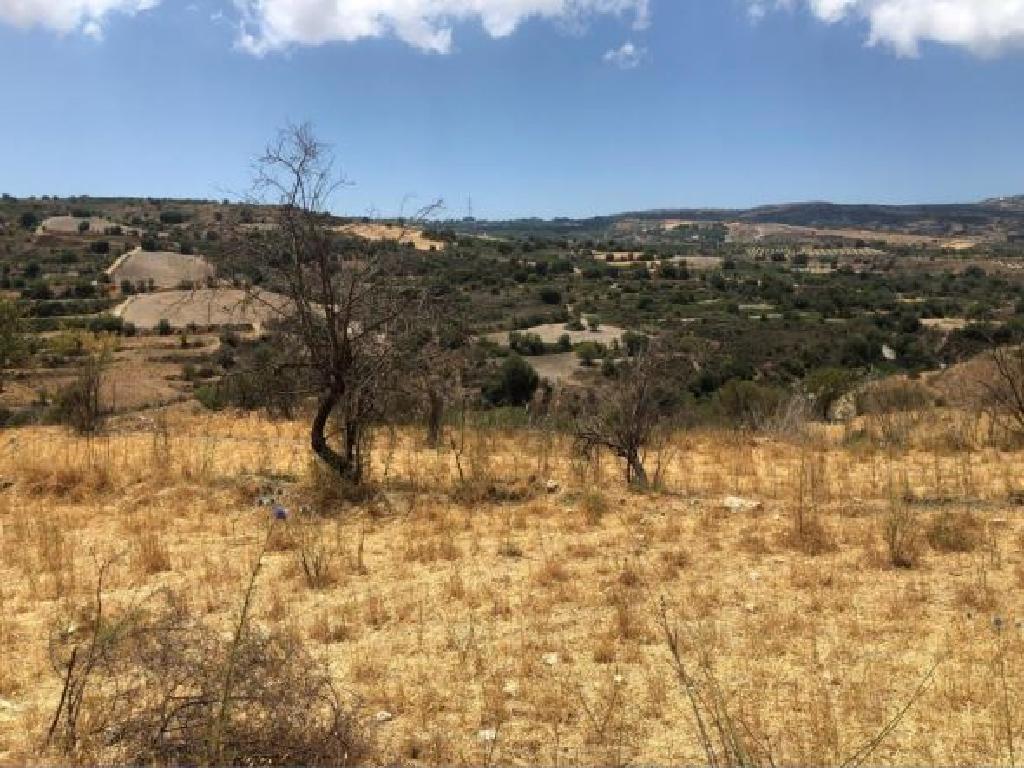Agricultural Field - Drymou, Paphos