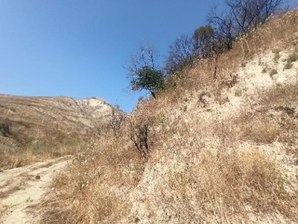 Agricultural Fields (2 units) - Giolou, Paphos