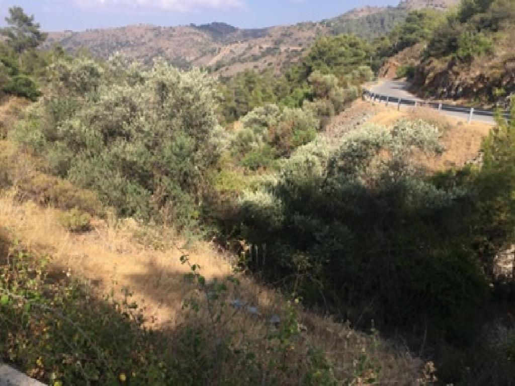 Agricultural Fields (4 units) - Lazanias, Nicosia image 3